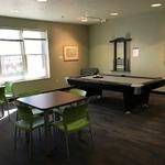 Community Area Pool Table